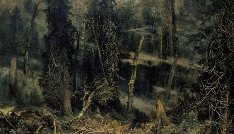 Šumavský prales