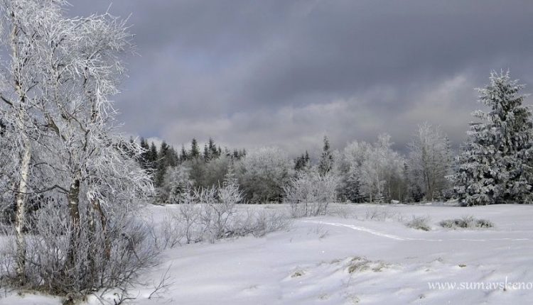 Zhůří, panorama v zimě